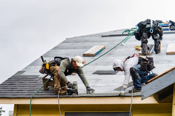 Professional Storm Damage Roof Repair technician working in Trenton, NC